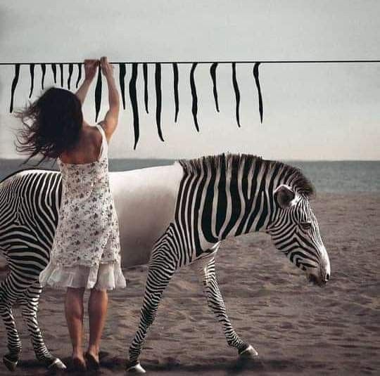 A Lifetime of Building, Interrupted by a Moment of Realization!
